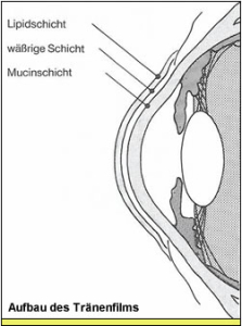 trockenes-auge-02